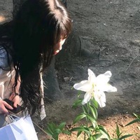 八卦小能手